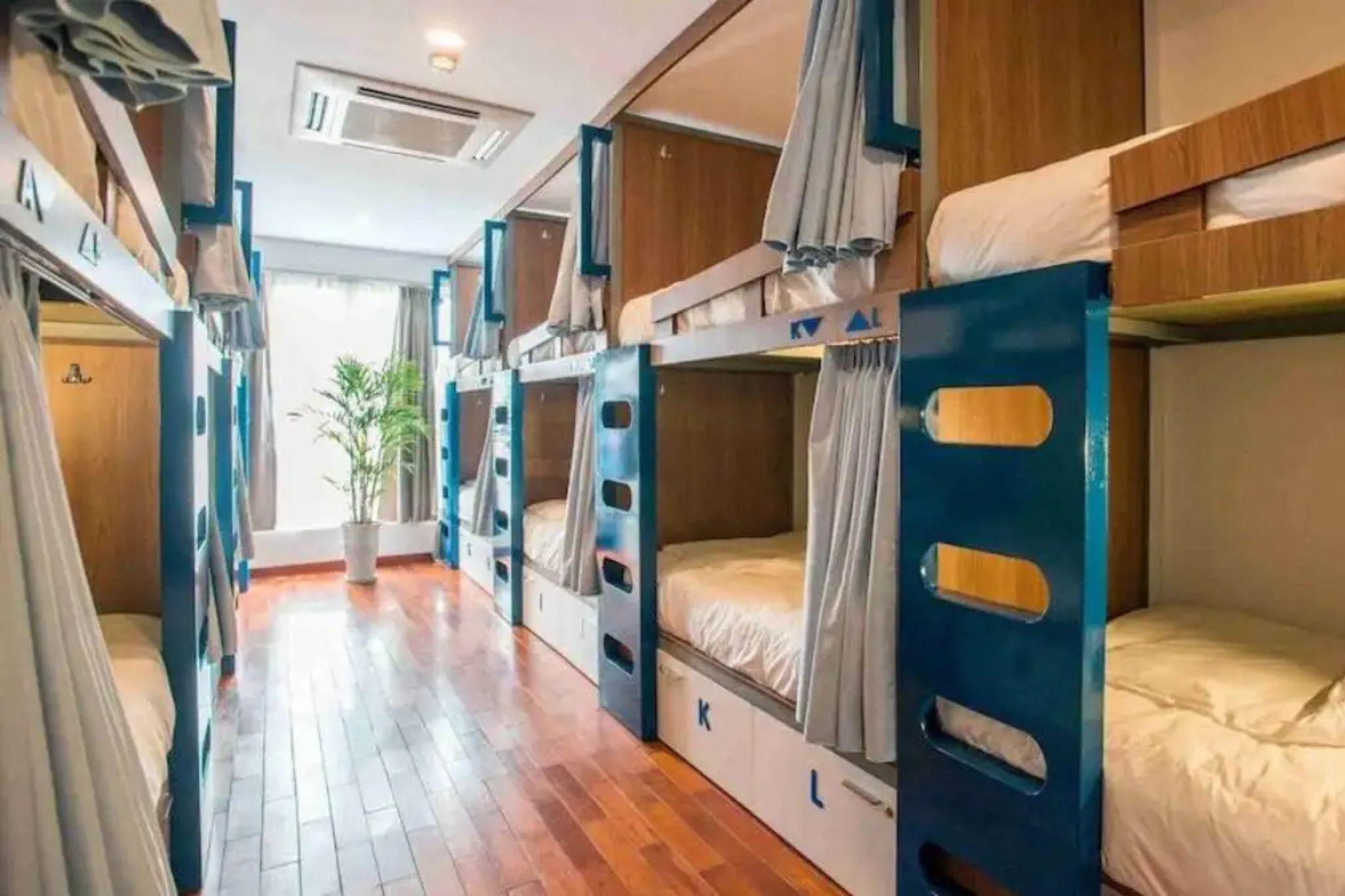 thiết kế phòng dorm trong hostel 18